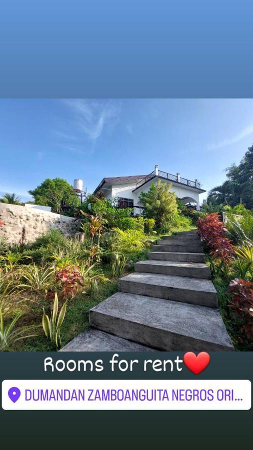 Matteo'S Hus Villa Rental Zamboanguita  المظهر الخارجي الصورة