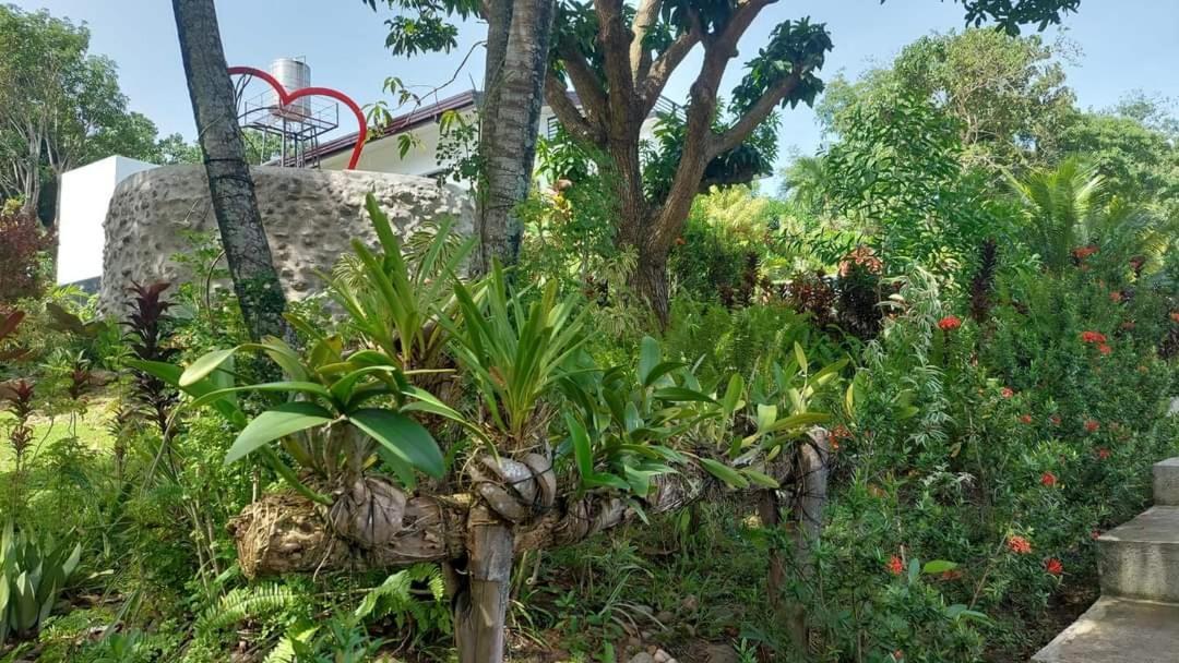 Matteo'S Hus Villa Rental Zamboanguita  المظهر الخارجي الصورة
